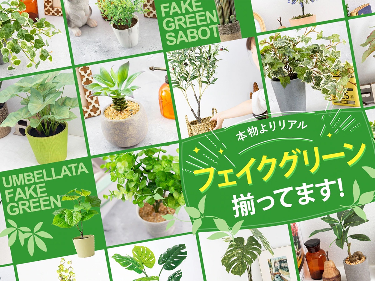本物よりリアル!フェイクグリーン揃ってます!!