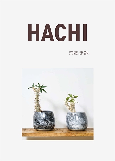 ガラスの植木鉢が2鉢