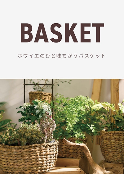 ホグラのバスケットに植物が寄せ植え