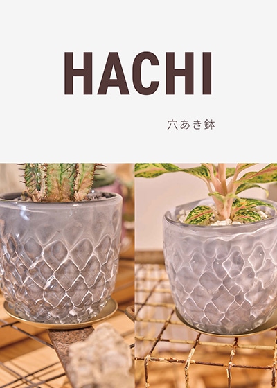 ガラスの植木鉢が2鉢