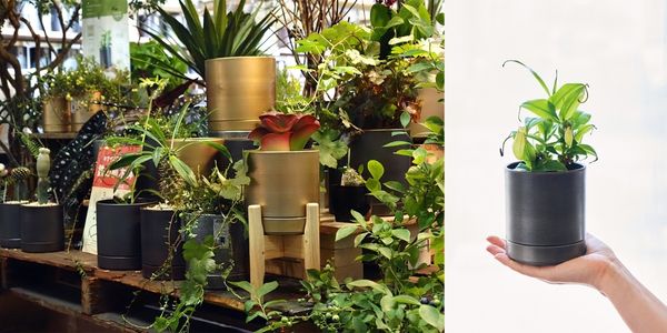 新春セール、鉄の器やガラス花器