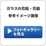 DGガラスキュルットH9.5 クリアー