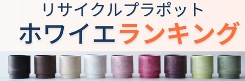 リサイクルプラポットが並んでいる