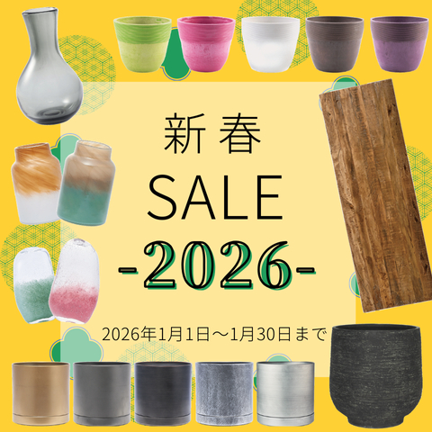 新春セール対象商品