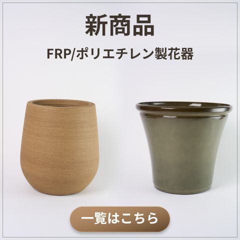 2つの観葉植物用の鉢