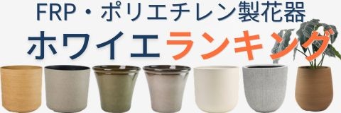FRP・ポリエチレン製花器を横一列に並べた
