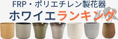 大型花器が横に並んでいる