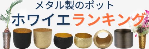 鉄製の花器を横一列に並べた
