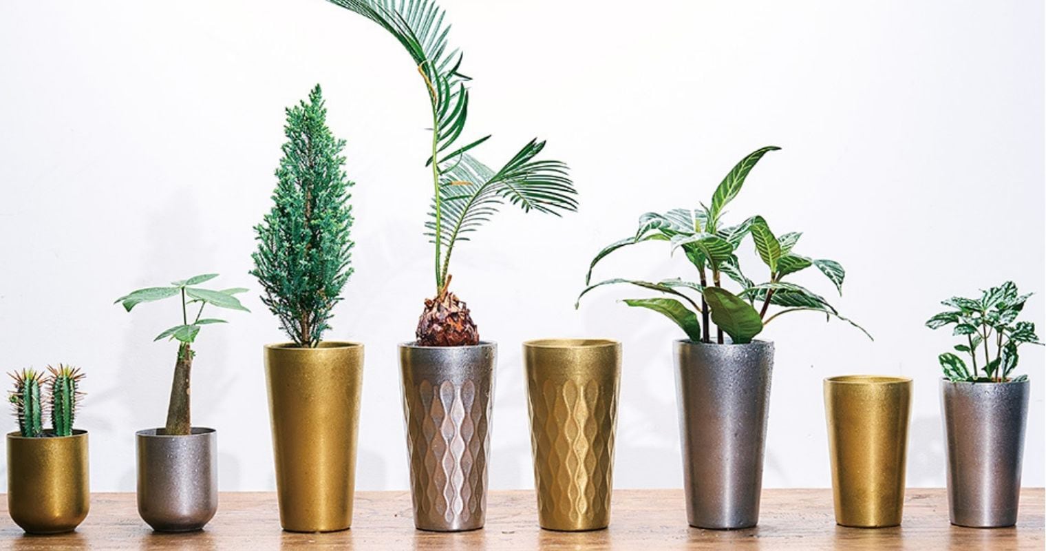 ゴールドとシルバーの金属製植木鉢が横一列に並び、サボテンやパキラなど多様な観葉植物を活けたコーディネート例と鉢単体の比較
