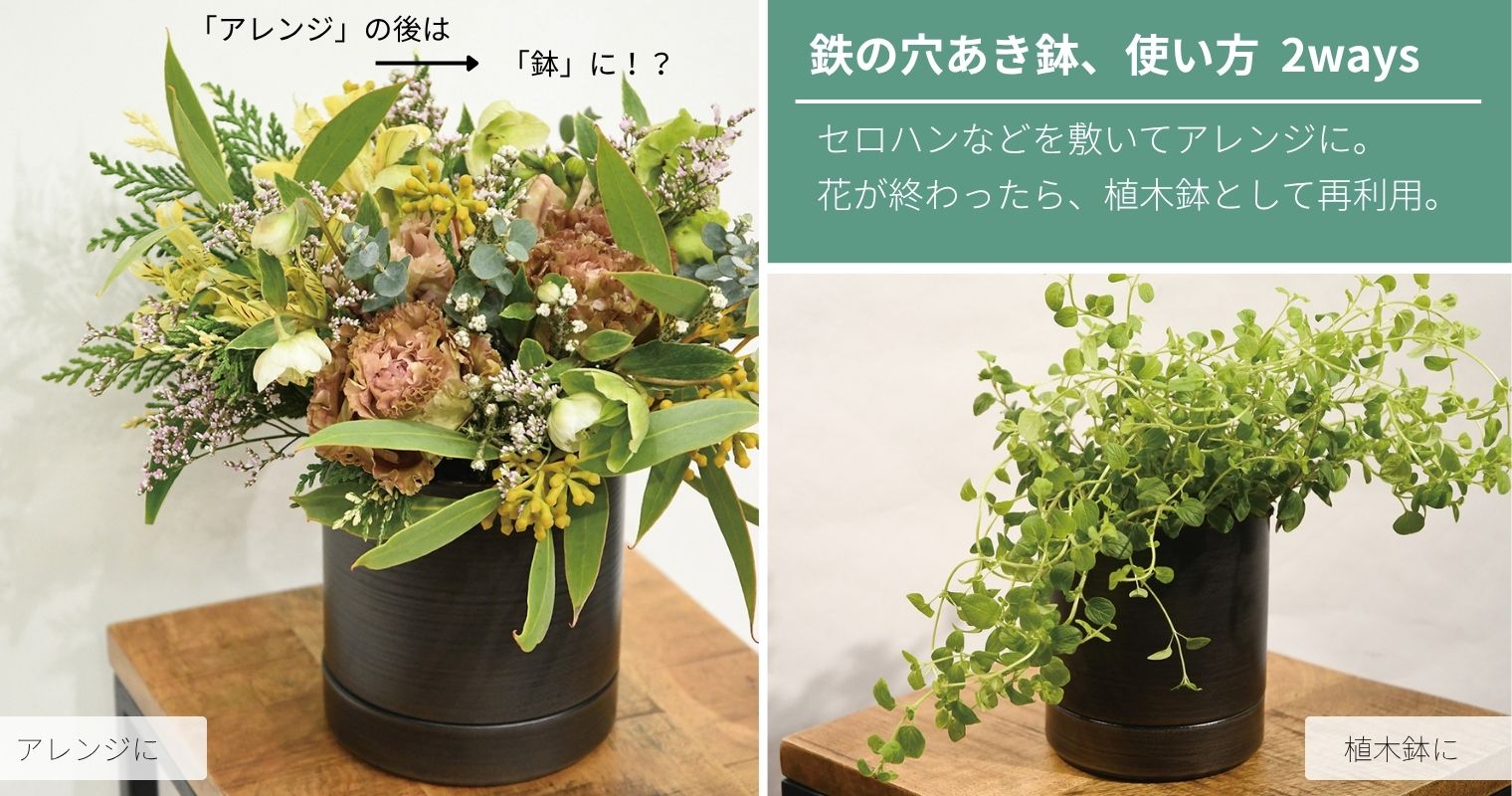 鉄の穴あき鉢、使い方2ways。セロハンなどを敷いてアレンジに。花が終わったら、植木鉢として再利用。