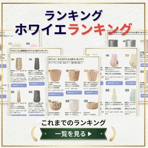 WEBページを過去から現在まで重ねて表現