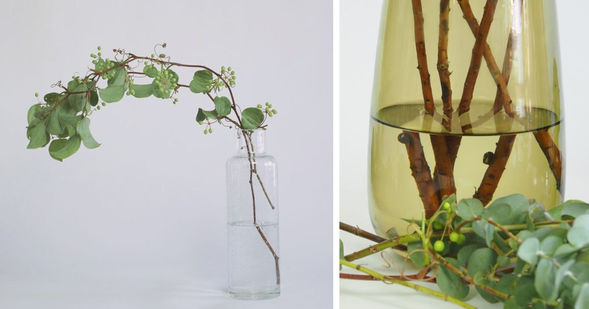 家庭用の小さな透明のガラスに枝ものが入れてある全体像とアップ