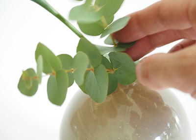 フラワーベースのガラス表面に生けた植物が反射するのが美しい使用イメージ