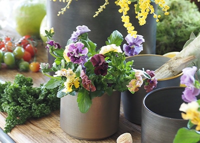 ゴールドの鉄製フラワーベースにパンジーなどを生けた机上での使用イメージ