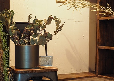 ブラックの鉄製フラワーベースにドライフラワーをいけた屋内での使用イメージ