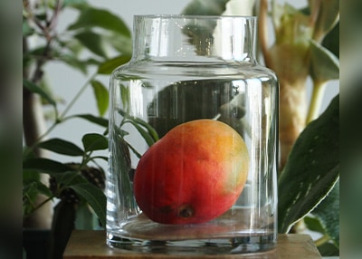 クリアガラスのフラワーベースにフルーツを入れてインテリアとした使用イメージ