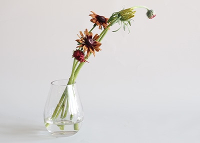 ドロップ型の花が生けやすいガラスのフラワーベース使用イメージ