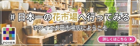 日本一の花市場へ行ってみる