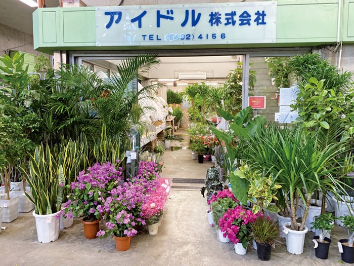 大田市場花卉部、アイドル(株)