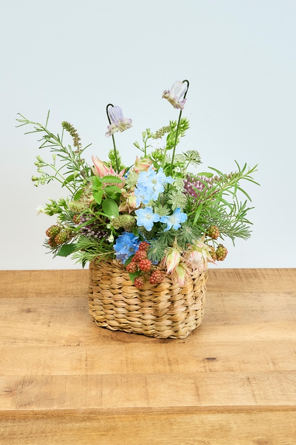植物と器の展示3