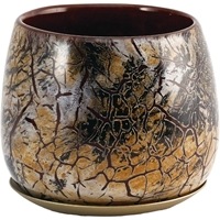 DGｶﾞﾗｽﾎﾞｳﾙﾎﾟｯﾄ&ｿｰｻｰφ12(10)xH10 ｵｰｸﾐｽﾄ