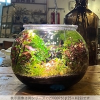 アクアリウムとしての使用例