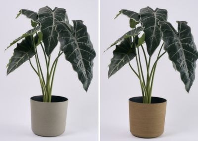植物は同じで器の色が右がブラウン、左がグレー