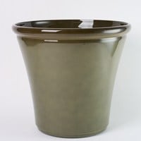 FRﾌﾚｱﾘﾑﾎ ｵﾘｰﾌﾞｸﾞﾘｰﾝS φ35xH30.5