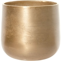 AM6ﾍﾞｰｽGL H20