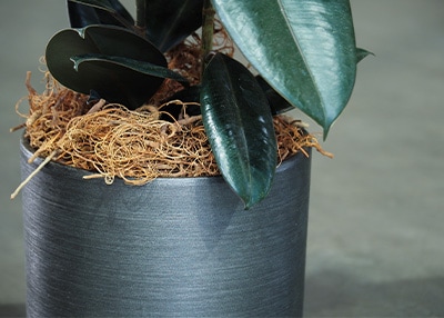 シルバーな大型花器のアップ