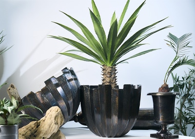 黒いアルミ鋳造花器に植物が埋まっている