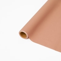 ﾊﾟﾘ No.66 ﾌｫｸｼｰﾌﾞﾗｳﾝ