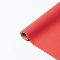 ﾊﾟﾘ No.43 ｼﾞｪﾗﾆｮﾑ