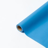 ﾊﾟﾘ No.46 ﾆｾﾞﾙ