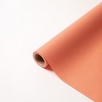 ﾊﾟﾘ No.10 ﾛｰｽﾞ ｿｰﾓﾝ