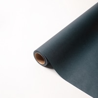 ﾊﾟﾘ No.39 ﾋﾟｰｺｯｸ