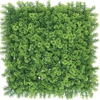 GMﾓﾌﾓﾌｸﾞﾘｰﾝﾊｰﾌﾞ 50x50cm