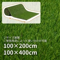 GRｲﾝﾍﾟﾘｱﾙ人工芝(WALLﾀｰﾌ) 1x2m