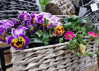 WAXペーパーのカラーバリエーション