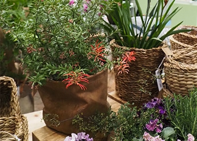 ドライフラワーをWAXペーパーでラッピング