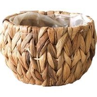 ｱﾐｱﾐ丸 SS(7600031）