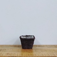 PEｺｰﾄﾞｽｸｴｱS BR