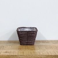 PEｺｰﾄﾞｽｸｴｱM BR