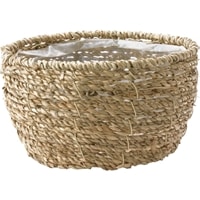 PP浅丸ｼｰｸﾞﾗｽﾅﾁｭﾗﾙS