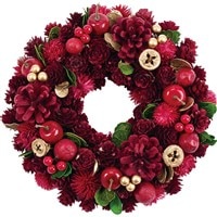 ﾘｰｽﾚｯﾄﾞﾐﾆｺｰﾝﾘﾝｺﾞﾅｯﾂS