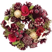 ﾐﾆﾘｰｽﾚｯﾄﾞｺｰﾝﾎﾞｰﾙﾎｼﾄﾅｶｲﾗﾒ