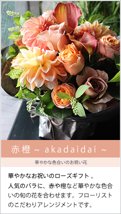 赤橙 ~ akadaidai ~ 華やかな色合いのお祝い花 アレンジメント　お誕生日の生花のギフト