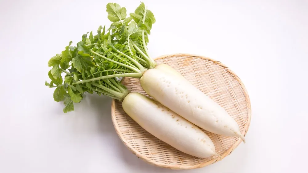 大根の画像