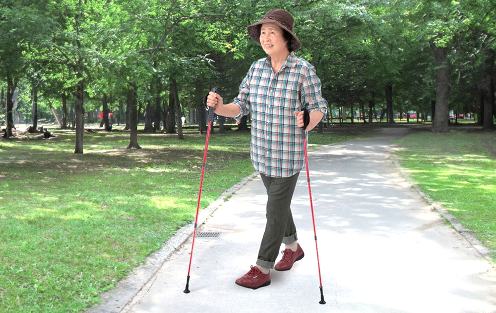 ハートフルウェルフェア 伸縮式ウォーキングポール2本組