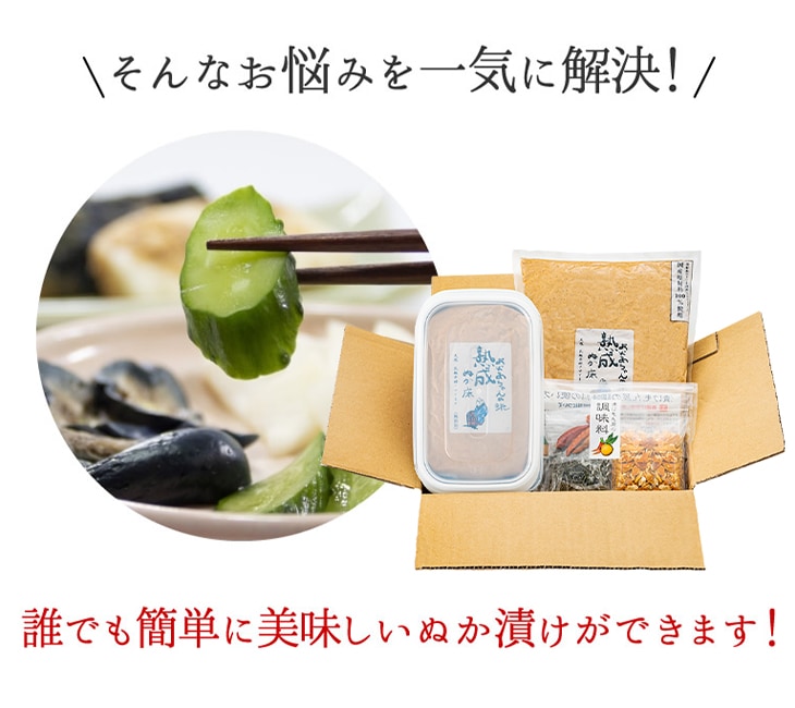 熟成ぬか漬けセット ぬか床2kg ぬか床容器 調味料セット｜ファミリー